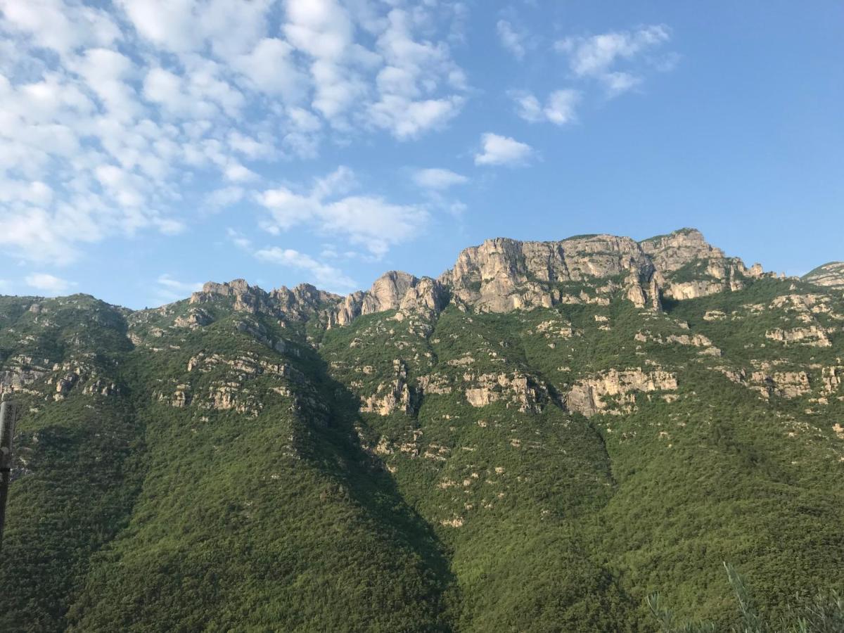 CollettaLe Ciappe Castelbianco Terra Citr 9020-Beb-0003住宿加早餐旅馆 外观 照片