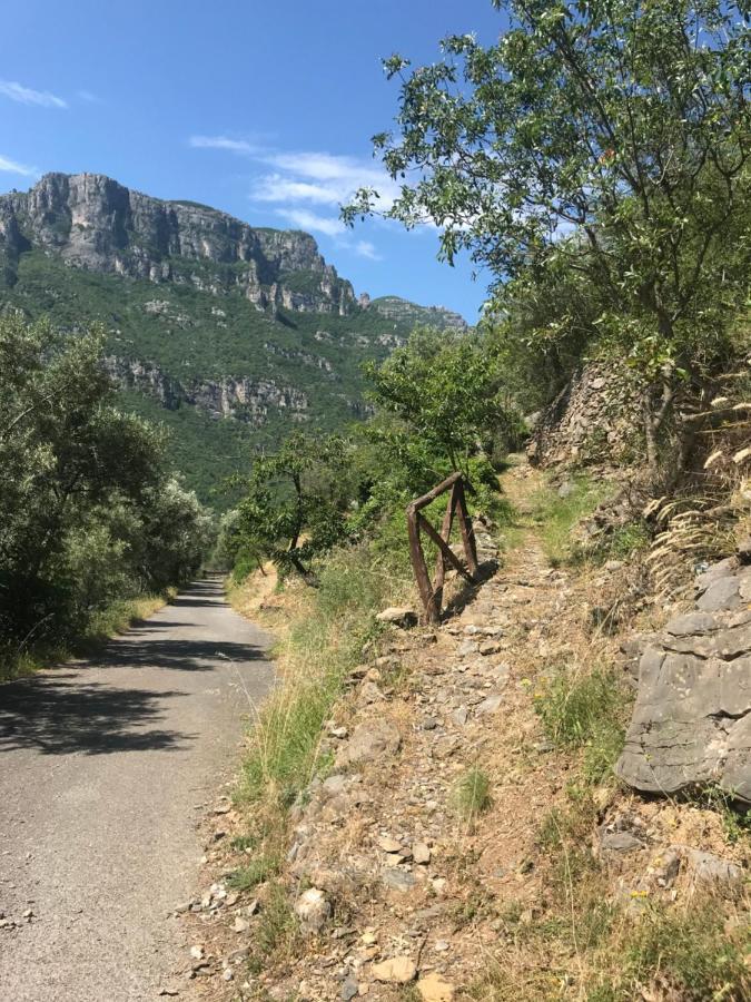 CollettaLe Ciappe Castelbianco Terra Citr 9020-Beb-0003住宿加早餐旅馆 外观 照片